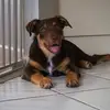 abbyglenn - @abbyglenn - TikTok