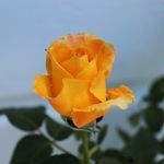 Abby Harper - @abby_harper_photography - Instagram