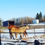 Abby heiser - @abbys_life_11234 - Instagram