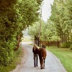 Abby Heiser - @abbyheiser_eq - Instagram