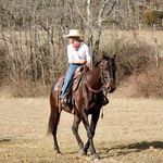 Abby Hirschi - @abby_hirschi - Instagram