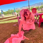 Abby Holcomb - Facebook