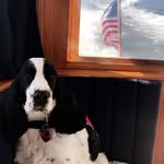 Aberdeen Houck - @abby_houck - Instagram