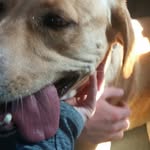 Abby Jarman - @abby_jarman56 - Instagram