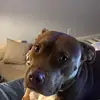 CrazyCruz5 - @abbykarcher - TikTok