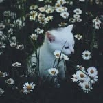 -Abby Kendall- - @___beautiful.__.nature___ - Instagram