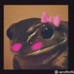 Abby Knox - @abby.knox.378 - Instagram