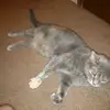 Abby_Koch1234. - @abby_koch2.0 - TikTok