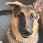 Abby Kramer - @abby.kramer.319 - Instagram