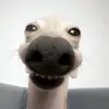 abby lane - @abby_lane5 - TikTok