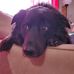 Abby Langdon - Facebook