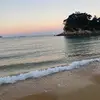 abbey lawrence - @abbey.lawrence_ - TikTok