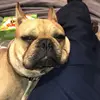 Abby_lockhart__ - @abby_l0ckhart___ - TikTok