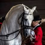 Abby Long - @abbylongdressageuk - Instagram