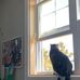 Abby Lynch - Facebook