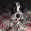 abby_lynch - @abby_lynch - TikTok