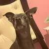 abby.marsh1 - @abby.marsh1 - TikTok