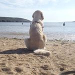 Abby McCann - @abby_mcc56 - Instagram