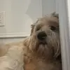 Abby - @.abby.mccool - TikTok