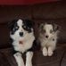 Abby Mccurdy - Facebook