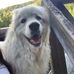 Abby Mccurdy - Facebook