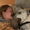 abbymcdermott4 - @abbymcdermott4 - TikTok