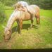 Abby Mcgee - Facebook