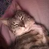 abby.mckenzie - @abby.mckenzie - TikTok