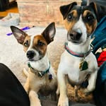 Abby McMaster - @abs5411 - Instagram