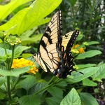 abby - @abbymcnabbb - Instagram