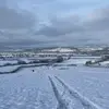 Abbie Mcneely🐮🏏🏑 - @abbie.mcneely.new - TikTok