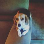 Abby McNeely - @dear.abby.16 - Instagram