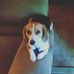 Abby McNeely - Facebook
