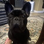 Abby - @abbymeade0516 - Instagram