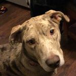 Abby Meade - @abbykat2009 - Instagram