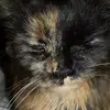 abbymeade1234 - @abbymeade1234 - TikTok