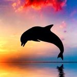 AbbyMeade - @abbymeade20072025 - Instagram