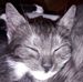 Abby Meier - Facebook