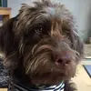 abbymeier - @abbymeier - TikTok