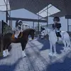 𝓐𝓫𝓫𝔂 🏔️ + 𝓜𝓲𝓵𝓮𝔂 🏇 - @abbyandmiley6 - TikTok