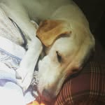 abbymiley_ - @abbymiley_ - Instagram