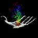 Abby Millard - Facebook