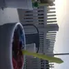 TejasRexas - @abby.mincer - TikTok