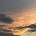 Abby Minnick - @rose_minnic2021 - Instagram