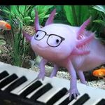 Abby Moffitt - @sakuraabyss6 - Instagram