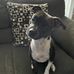 Abby Munn - Facebook