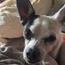 Abby Nielson - Facebook