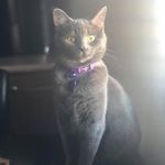 Abby•Norman•Lexi - @abby_norman_lexi - Instagram