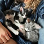 Norman + Abby - @lifeofnormanabby - Instagram