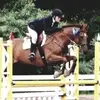 Abby Nowak113 - @firepit30 - TikTok